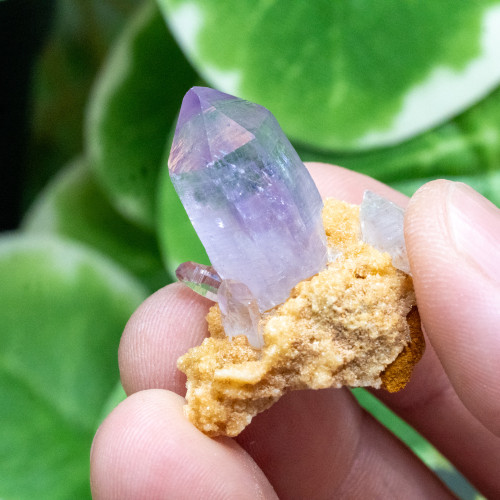 Vera Cruz Amethyst #8