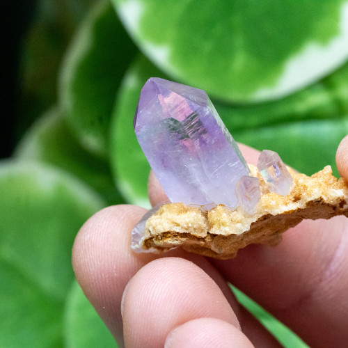 Vera Cruz Amethyst #8