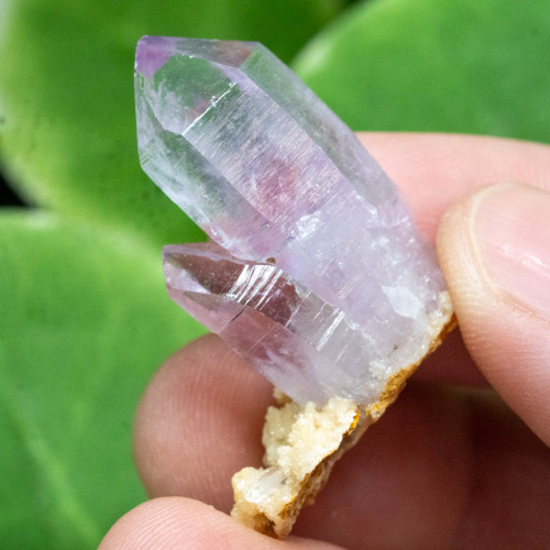 Vera Cruz Amethyst #7