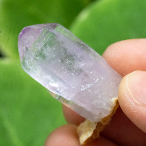 Vera Cruz Amethyst #7