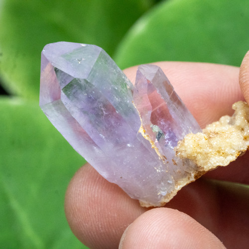 Vera Cruz Amethyst #7