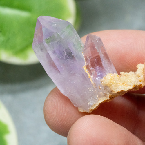 Vera Cruz Amethyst #7