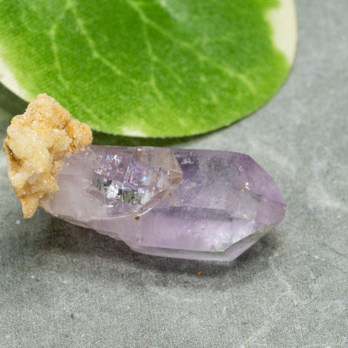 Vera Cruz Amethyst #7