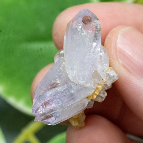 Vera Cruz Amethyst #6