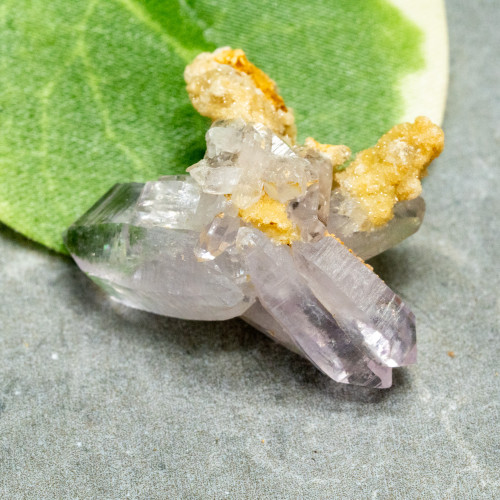 Vera Cruz Amethyst #6