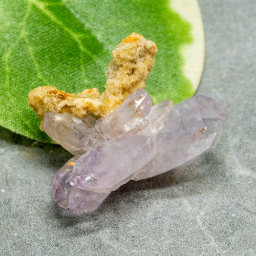 Vera Cruz Amethyst #6