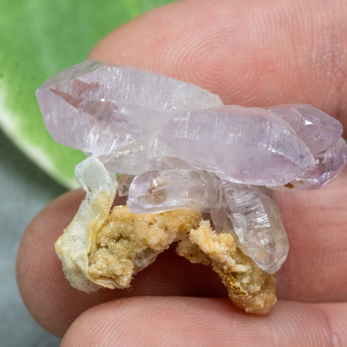 Vera Cruz Amethyst #6