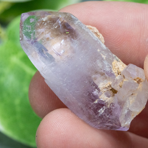 Vera Cruz Amethyst #5