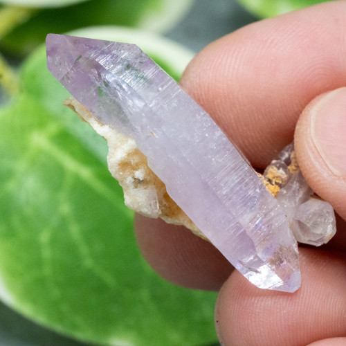 Vera Cruz Amethyst #5