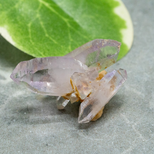 Vera Cruz Amethyst #4