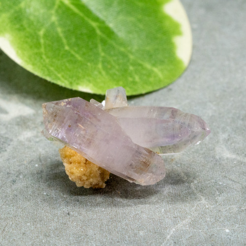 Vera Cruz Amethyst #4