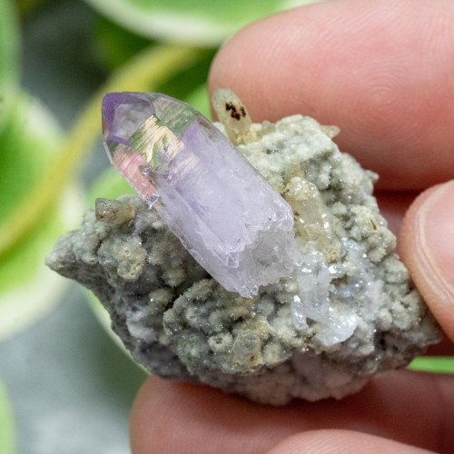 Vera Cruz Amethyst #3