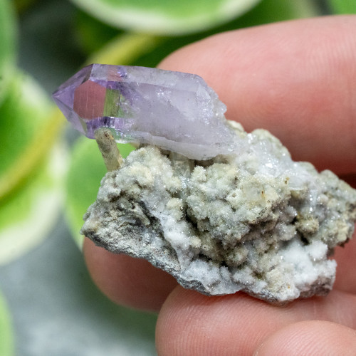 Vera Cruz Amethyst #3