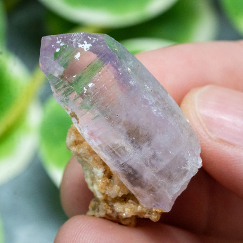 Vera Cruz Amethyst #2