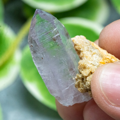 Vera Cruz Amethyst #2