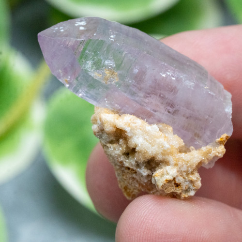 Vera Cruz Amethyst #2