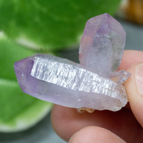 Vera Cruz Amethyst #1