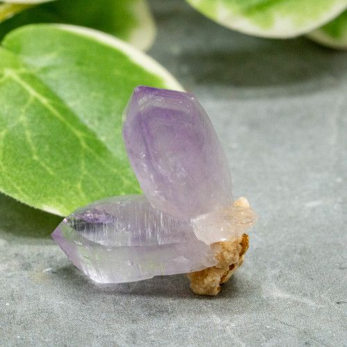 Vera Cruz Amethyst #1
