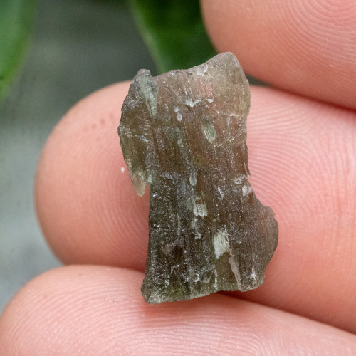 Moldavite #25
