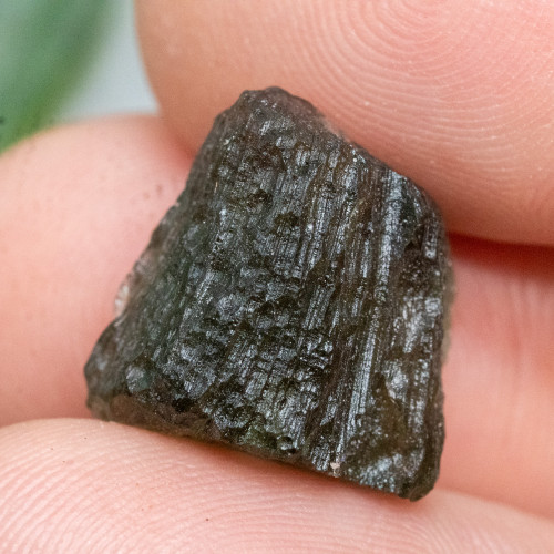 Moldavite #10