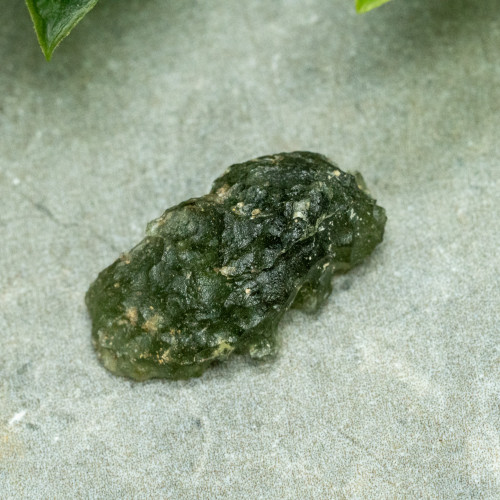 Moldavite XL (A+ Quality) #11