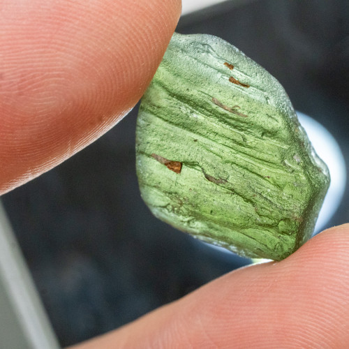 Moldavite XL (A+ Quality) #10