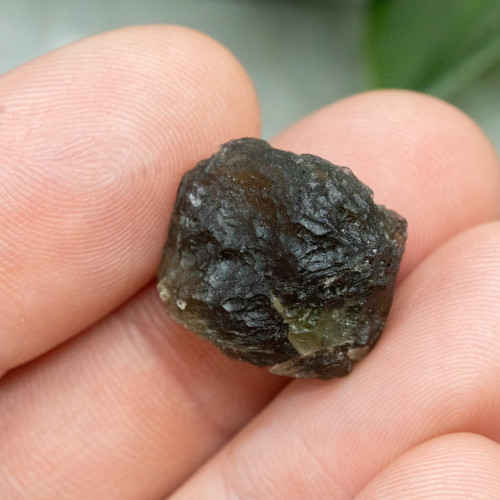 Moldavite XL (A+ Quality) #9