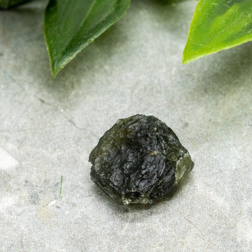 Moldavite XL (A+ Quality) #9