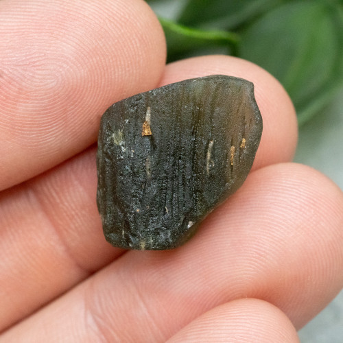 Moldavite XL (A+ Quality) #10