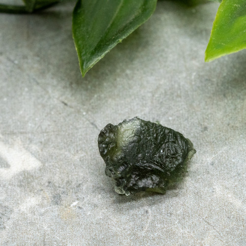 Moldavite XL (A+ Quality) #8