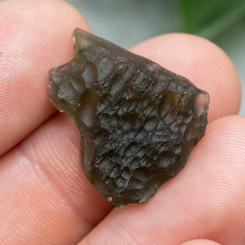 Moldavite XL (A+ Quality) #7