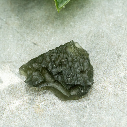 Moldavite XL (A+ Quality) #7