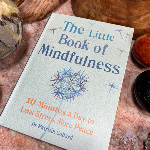 The Little Book of Mindfullness