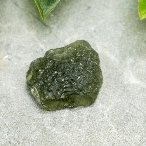 Moldavite XL (A+ Quality) #1