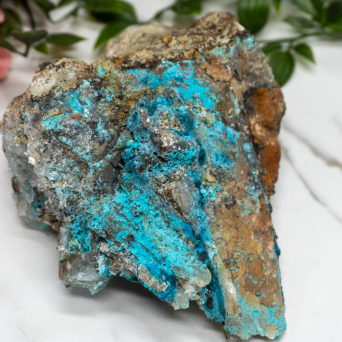 XL Quantum Quattro #1