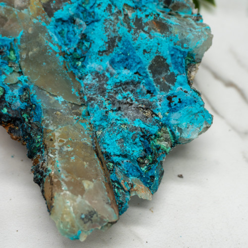 XL Quantum Quattro #1