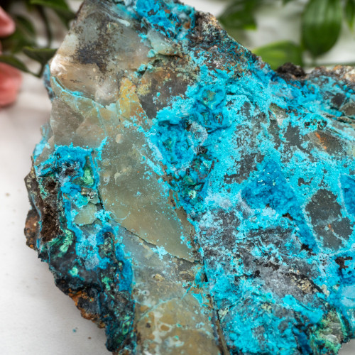 XL Quantum Quattro #1