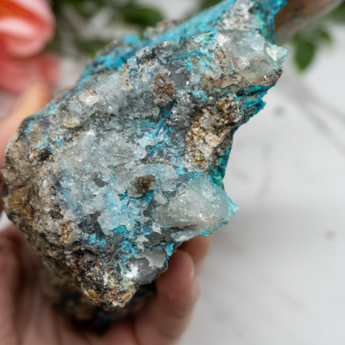 XL Quantum Quattro #1