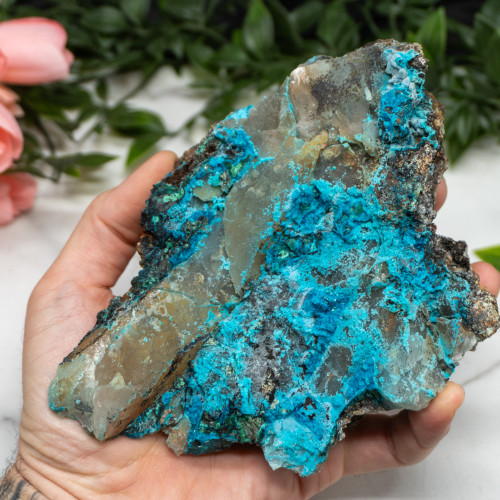 XL Quantum Quattro #1