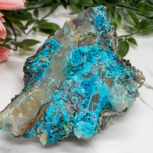 XL Quantum Quattro #1