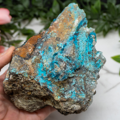 XL Quantum Quattro #1