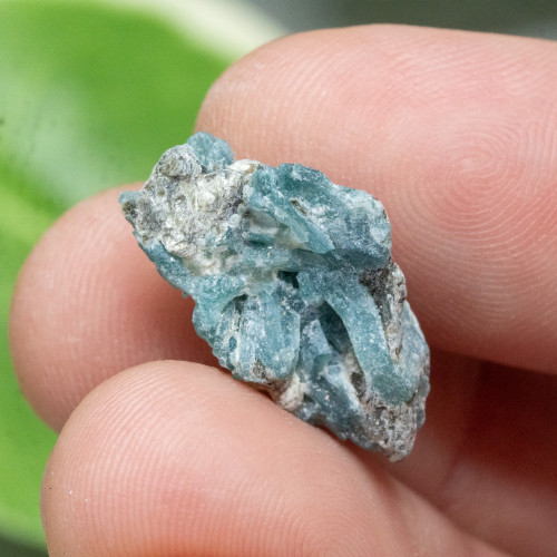 Grandidierite #7