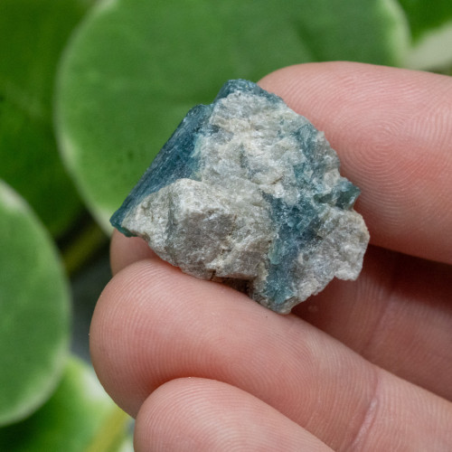 Grandidierite #3