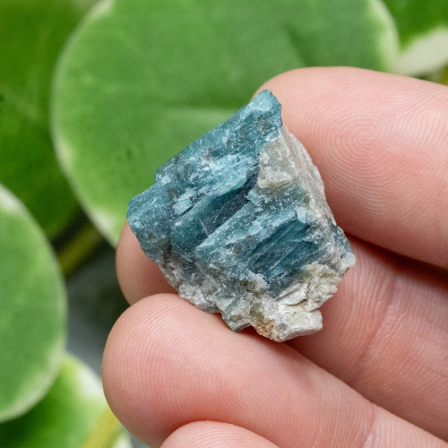 Grandidierite #3