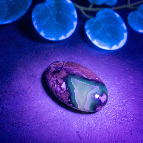 Volcano Agate Palmstone (UV Reactive) #14