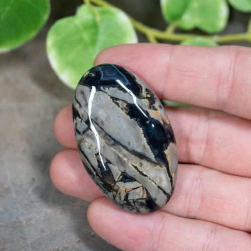 Volcano Agate Palmstone (UV Reactive) #7