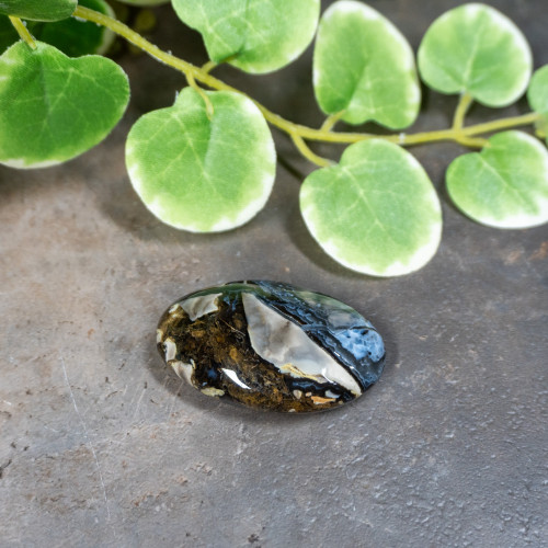 Volcano Agate Palmstone (UV Reactive) #4