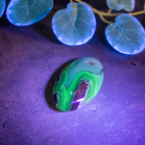 Volcano Agate Palmstone (UV Reactive) #2