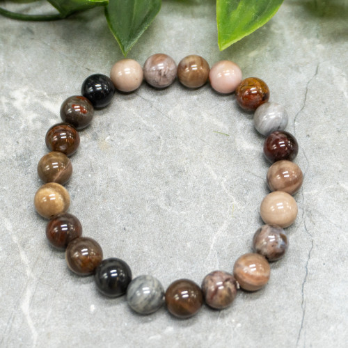 Petrified Wood Bracelet 8mm