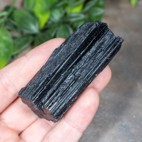 Black Tourmaline #9